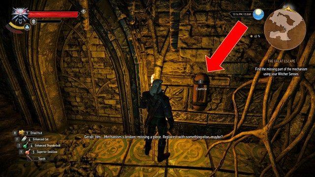 Search the ruins.