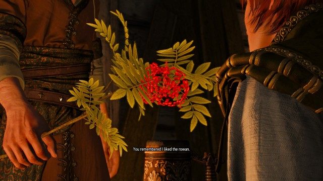 Use your Witcher Senses to find something that will cheer Shani up.