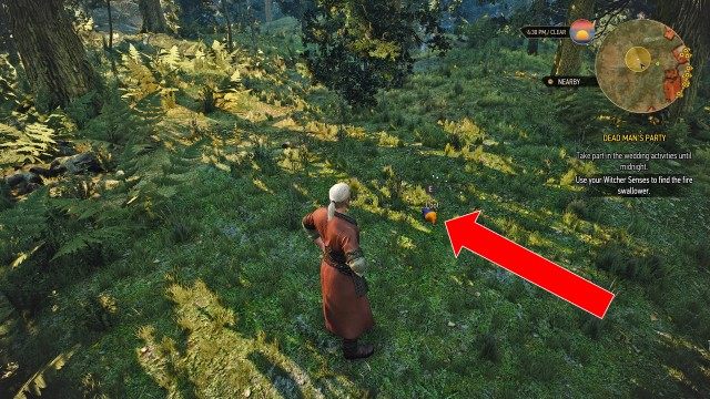 Use your Witcher Senses to find the fire swallower. / Escort the fire swallower back to the wedding. / Protect the fire swallower from the "bear" / (Optional) Inform the bride's mother about the fire swallower's fate. / Juggle to amuse the wedding guests.