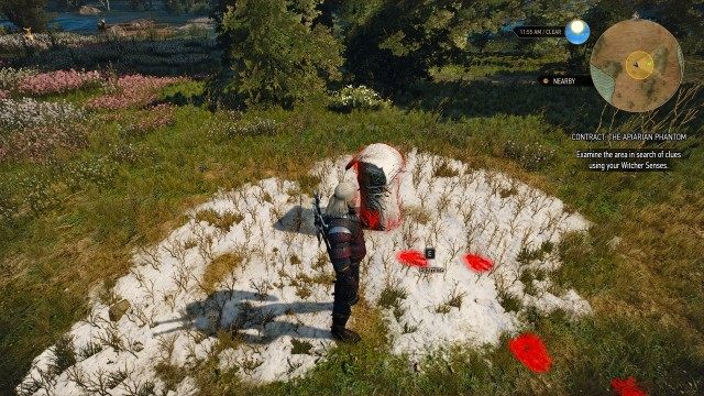 Apiarian Phantom Tracks