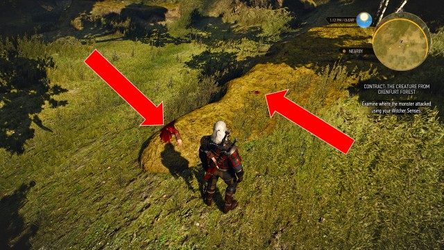 Examine where the monster attacked using your Witcher Senses.