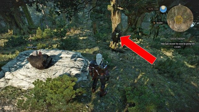 Go visit Egill. / Help Egill recover his voice by giving him a scare. / Keep trying to scare the druid until he recovers his voice. 1/3