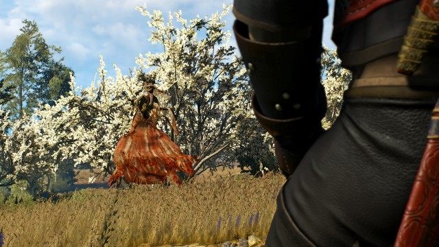 Kill the noonwraith. / Take a trophy from the noonwraith.