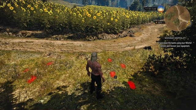 Track down the bards using your Witcher Senses and recover your equipment.