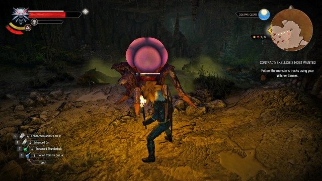 Follow the monster's tracks using your Witcher Senses.