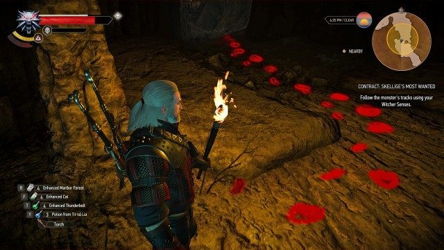 Follow the monster's tracks using your Witcher Senses.