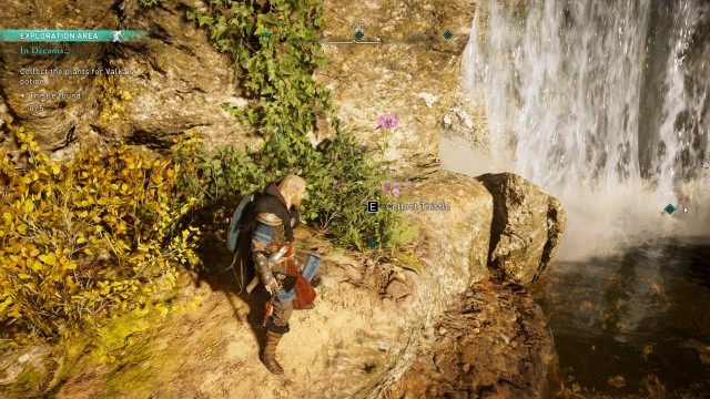 Collect the plants for Valka's potion