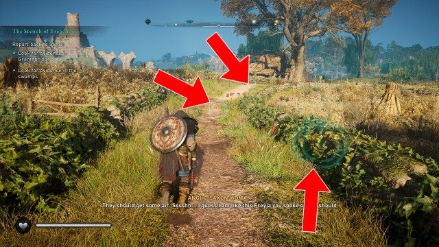 (Optional) Report back to Soma