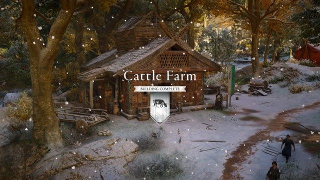 Build Cattle farm