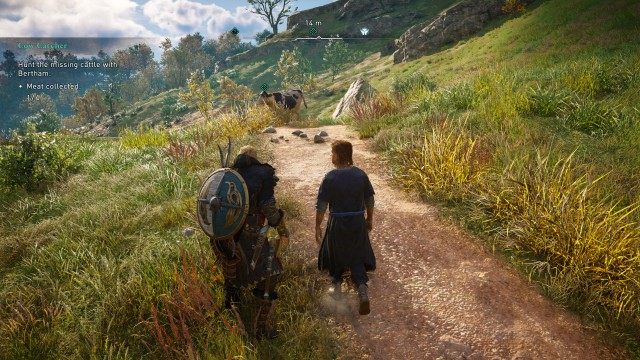 Hunt the missing cattle with Bertham