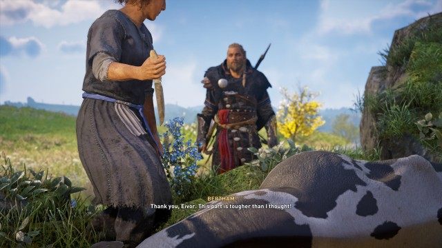 Hunt the missing cattle with Bertham