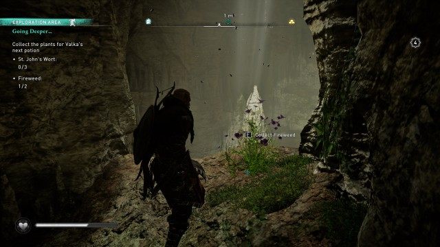 Collect the plants for Valka's next potion