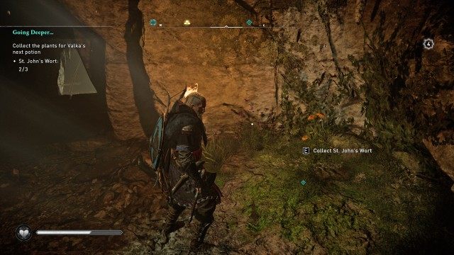 Collect the plants for Valka's next potion