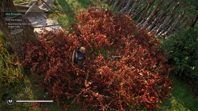 Join Rollo at his camp / Find the traitor