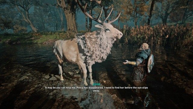 Ask the Elk about Petra
