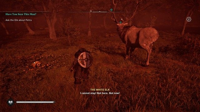 Ask the Elk about Petra