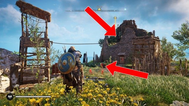 Hamtunscire Ingot #10