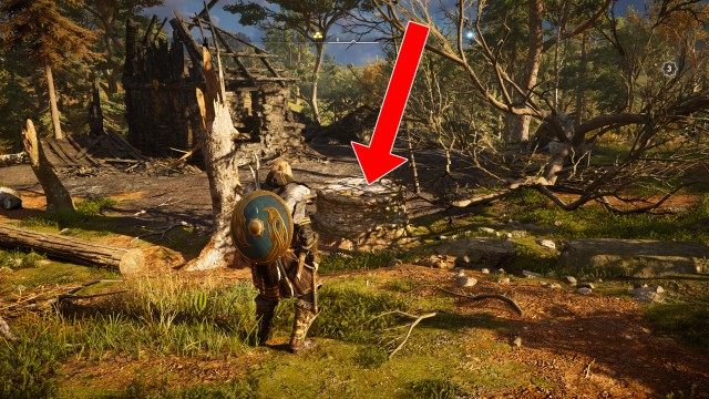 Hamtunscire Ingot #2