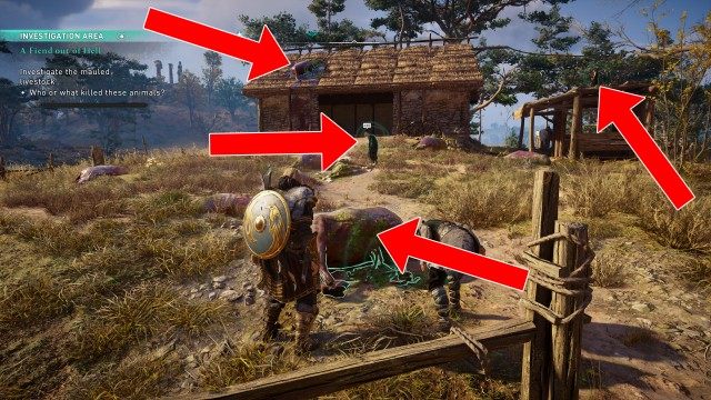 Investigate the mauled livestock