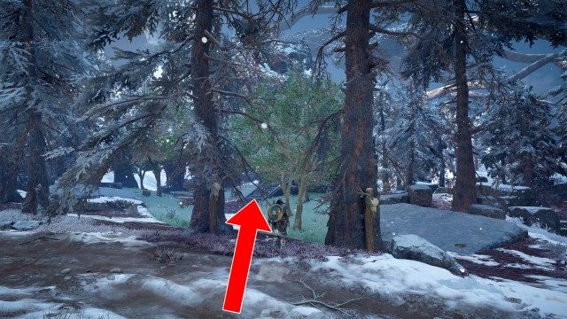 Ymir's Blood Stone #11