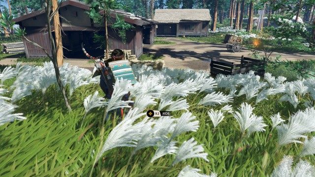 Find an ambush spot