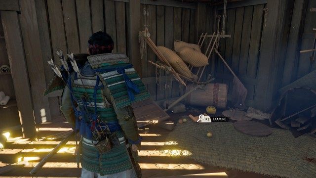 Travel to Saki's home / Investigate inside the home