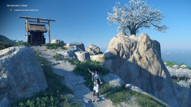 (Optional) Look for white-leafed tree / Survey