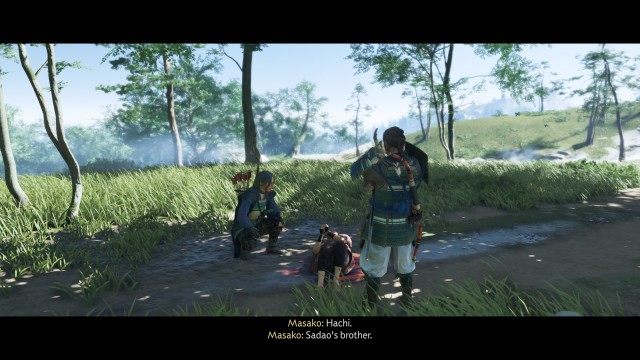 Rescue the assassin
