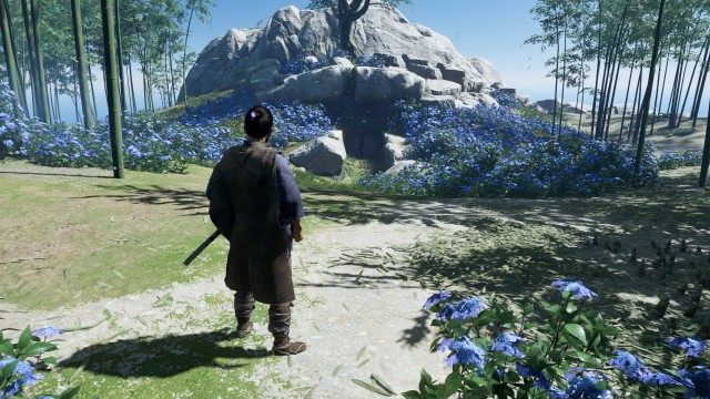 Search the Hiyoshi coast for blue flowers / Follow the blue flowers