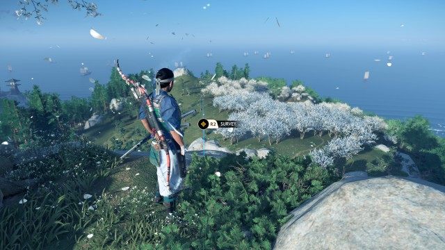 (Optional) Look for white-leafed tree / Survey