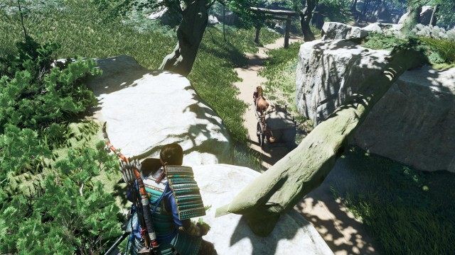 Trail Hachi's cart