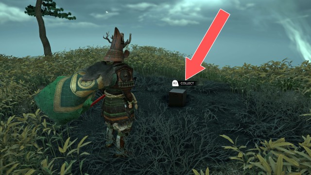 Raider Helmet