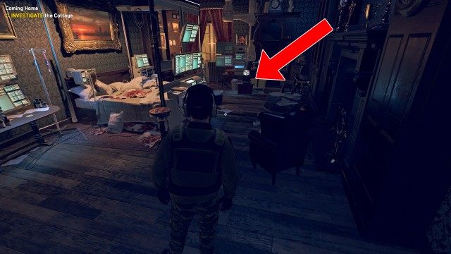 INVESTIGATE the Cottage