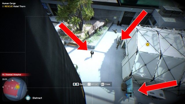 LOCATE Violet Thorn at St. Thomas' Hospital / RESCUE Violet Thorn