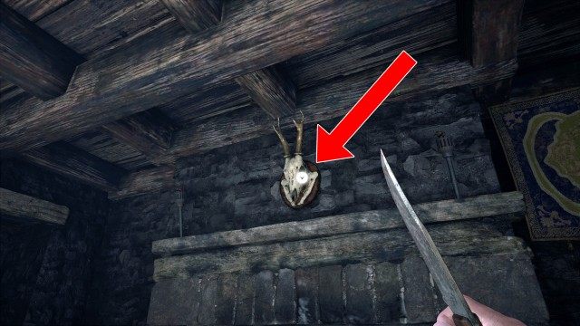 Mounted Animal Skull