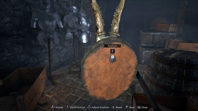 Mounted Animal Skull