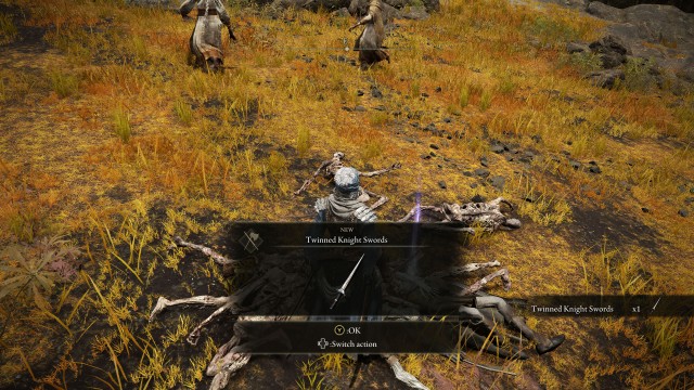 Twinned Knight Swords