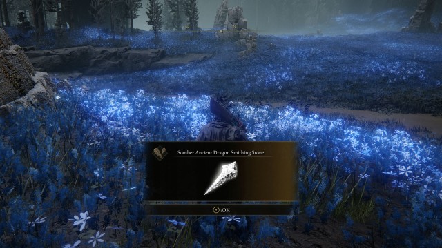 Somber Ancient Dragon Smithing Stone