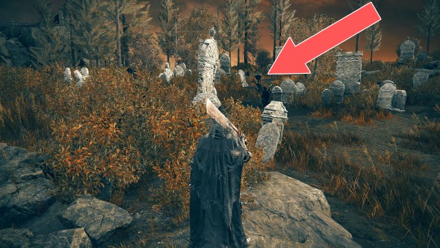 Scadutree Fragment