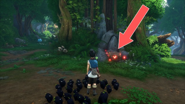 Cursed Chest (Forgotten Forest #2)