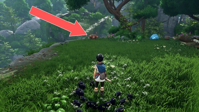 Cursed Chest (Rusu Mountain)