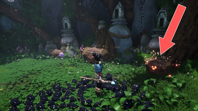 Cursed Chest (Village #3)