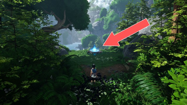 Meditation Spot #3 (Forgotten Forest)