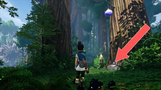 Rot (Taro's Tree #4)