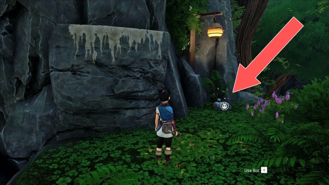 Rot (Taro's Tree #7)