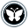 Moths