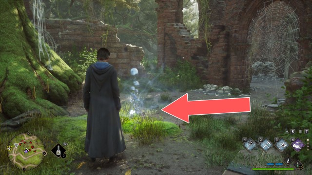 Ancient Magic Hotspot (Forbidden Forest 2/2)