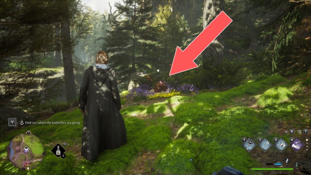 Butterflies #1 Chest (Conjuration)