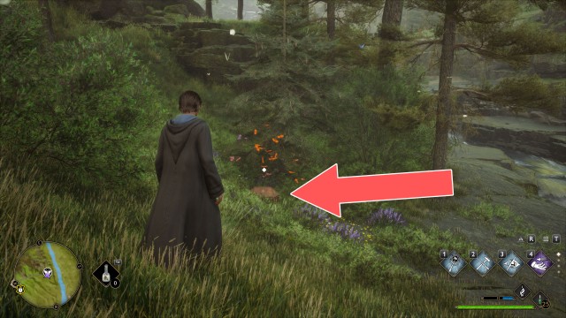 Butterflies #11 Chest (Conjuration)