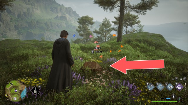 Butterflies #12 Chest (Conjuration)